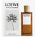 Loewe Loewe Pour Homme Туалетная вода 100 мл для мужчин