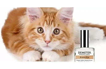Мур-мур и гламур: тема кошек в парфюмерии