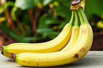 Духи с запахом банана 🍌 – аромат тропиков!