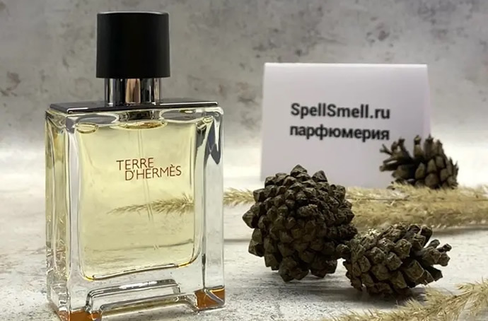 Описание аромата Терре Гермес – подробный обзор духов Terre D'Hermes с фото