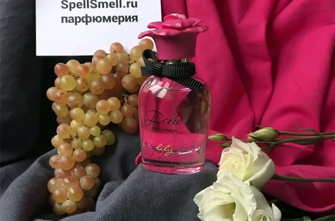 ТОП-7 самых популярных ароматов Dolce & Gabbana 2023
