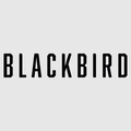 Женские духи Blackbird