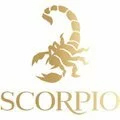 Логотип бренда Scorpio