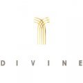 Логотип бренда Divine