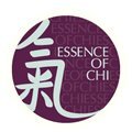Женские духи Essence of Chi