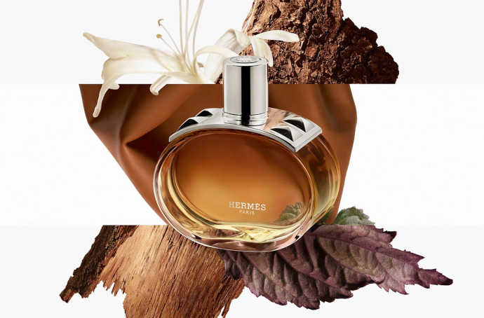 Hermes Barenia Intense: новый подход к шипрам