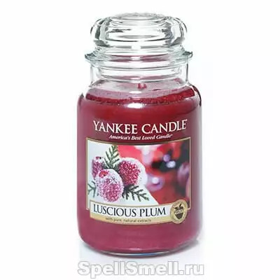В предвкушение Рождественской Сказки - ароматизированная свеча Yankee Candle Luscious Plum