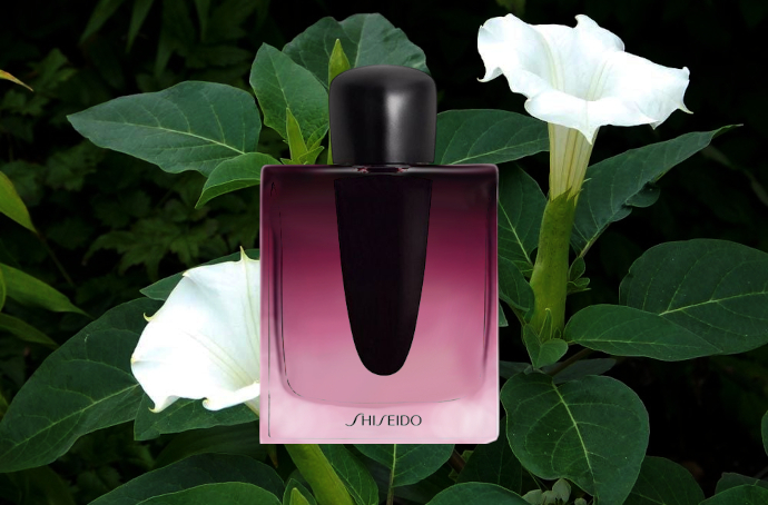 Дурманящая мелодия Shiseido Ginza Datura