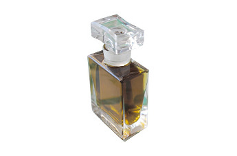 Roxanna Illuminated Perfume поможет Гринпису