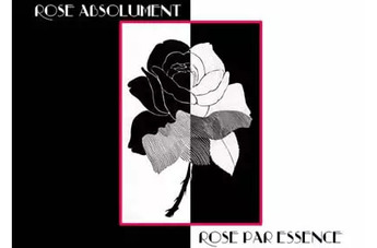 Два обличия одного цветка: новинки Les Parfums De Rosine Rose Absolument и Les Parfums De Rosine Rose Par Essence
