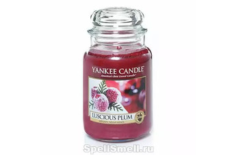 В предвкушение Рождественской Сказки - ароматизированная свеча Yankee Candle Luscious Plum