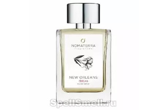 New Orleans Datura - дурман-трава из Нового Орлеана