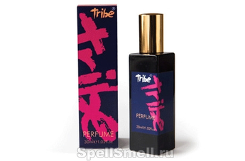 В поисках себя с Beauty Brand Development Tribe 2015