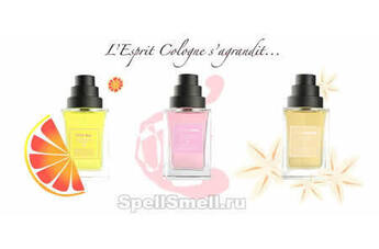 Новинки The Different Company South Bay, Kashan Rose and White Zagora из линии L Esprit Collection