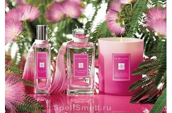 Silk Blossom - Новый аромат на службе благотворительности