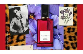 Зеркально-чистое чувство от Diana Vreeland