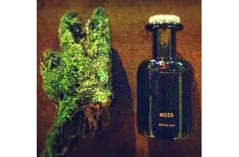Мистика таинственного леса от Perfumer H
