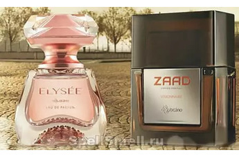 Традиции элегантности и высокого качества: новый парфюм-дуэт Elysee и Zaad Vision от бразильского бренда O Boticario