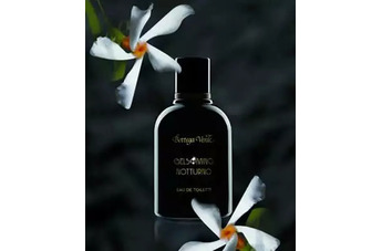 Bottega Verde Gelsomino Notturno: ночной жасмин