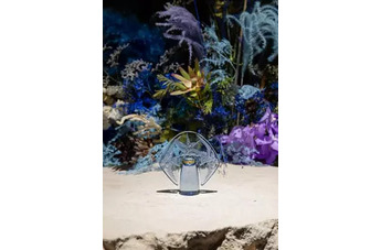 Lalique de Lalique Hirondelles Crystal Flacon: цветочно-фруктовая фантазия