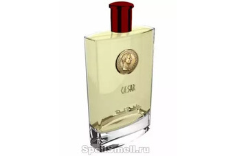 Renato Balestra Caesar: почувствуй себя звездой