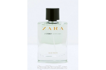География мужских ароматов от Zara