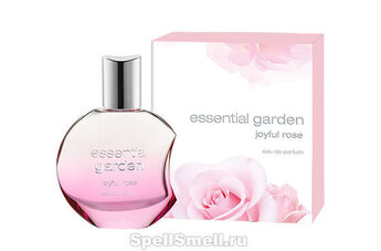 По-весеннему романтичный аромат Joyful Rose от Essential Garden