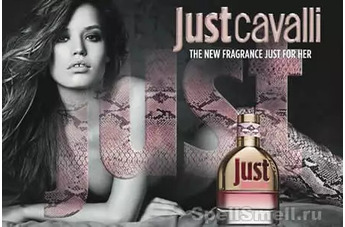 Новую версию Just Cavalli 2013 представляет дочка Мика Джаггера