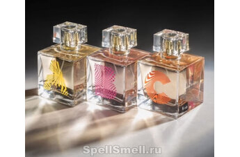A, B, C — стильное цветочное трио от нового парфюмерного бренда Karen Walker