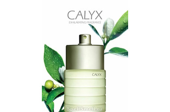 Теперь легендарный аромат Calyx будет выходить под маркой Clinique