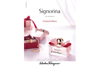 Signorina Limited Edition — праздничное одеяние в предвкушении нового сезона.