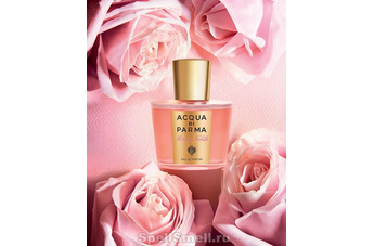 Все благородство розы в новом парфюме от Acqua di Parma
