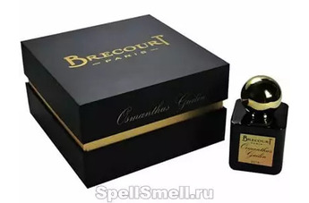 Brecourt Osmanthus Guilin: волшебный запах китайского османтуса