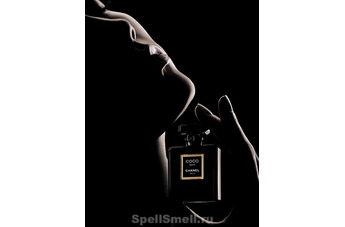 Линия Chanel - парфюм-абсолю Chanel Coco Noir Parfum Extrait