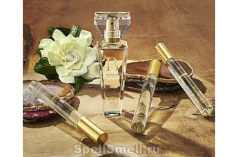 Ольфакторные автобиографии: Biography Scents of Self - новая коллекция наслаиваемых ароматов от Sarah Horowitz