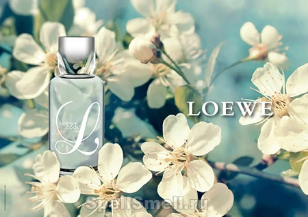 Loewe L Cool Loewe – женственность на все времена