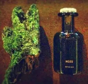 Мистика таинственного леса от Perfumer H