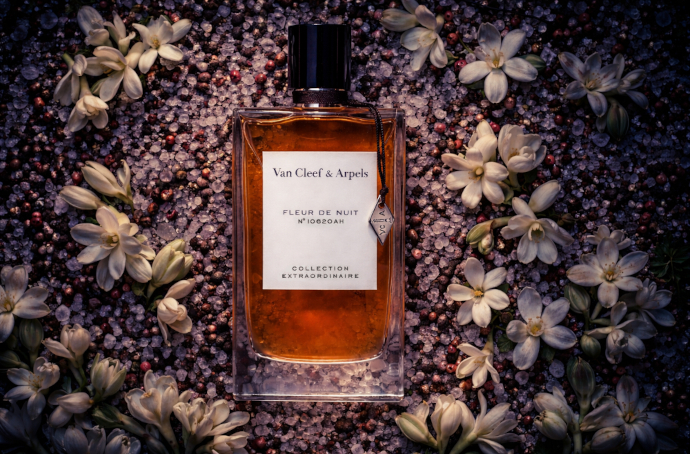 Van Cleef and Arpels Fleur de Nuit: поклон королеве ночи