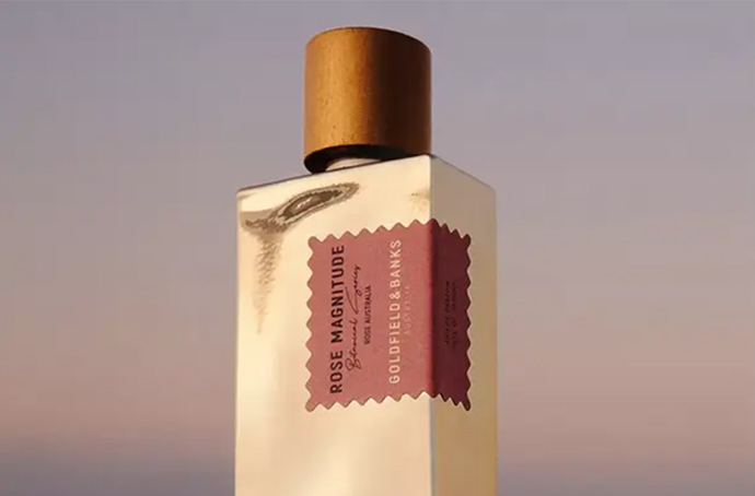 Goldfield and Banks Rose Magnitude: необычное раскрытие розы