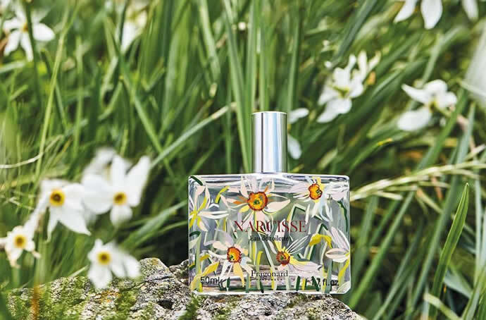 Fragonard Narcisse: новый цветок года — нарцисс