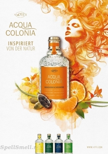 Новые духи Гезы Шоэна - 4711 Acqua Colonia Mandarine & Cardamom