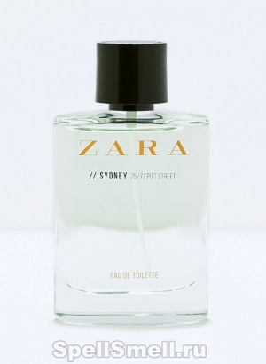 География мужских ароматов от Zara