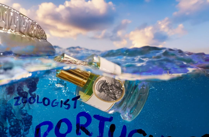 Zoologist Portuguese Man O War: опасная красота