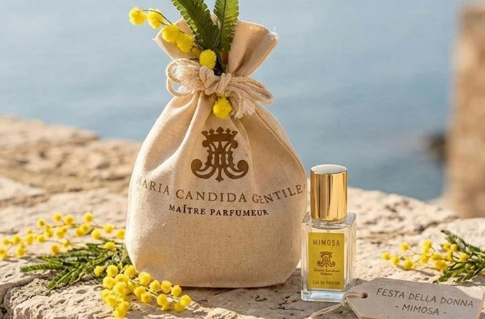 Maria Candida Gentile Mimosa: самый весенний букет