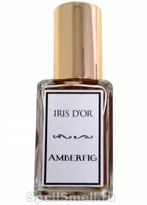 Amberfig Iris d'Or: ирис флорентийский
