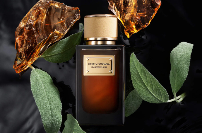 Dolce Gabbana Velvet Amber Sage: шалфей в объятиях амбры