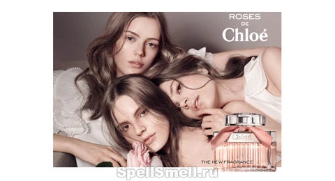 Тайны парижской розы - Chloe Roses De Chloe