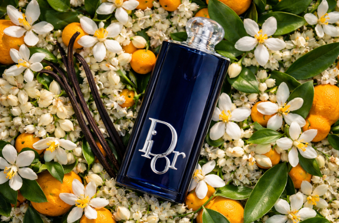 Christian Dior Addict EDP 2026: новая вариация легенды