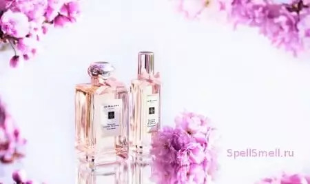 Sakura Cherry Blossom — ветка цветущей вишни от Jo Malone