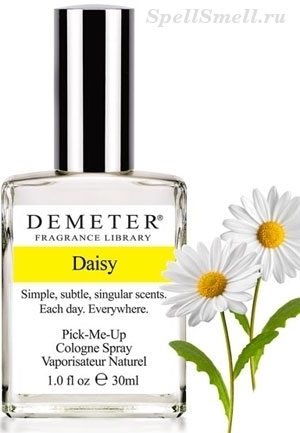 Demeter Daisy - кругом ромашки